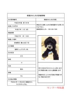 保護犬 第149号 (PDF:117KB)