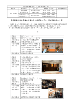 資料（PDF：205KB）