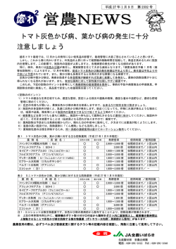 トマト灰色かび病、葉かび病の発生に十分 注意しましょう