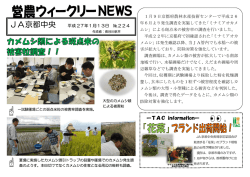 ―TAC information―