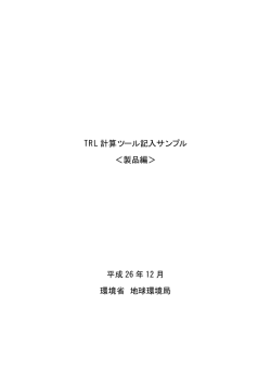 作成例1 [PDF 88KB]