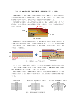 WSP 077- 2014【追補】「断層用鋼管（撓曲構造対応型）」（抜粋）