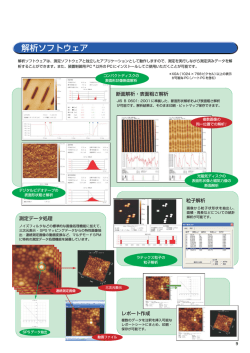 解析ソフトウェア