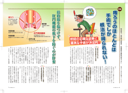 Adobe Photoshop PDF