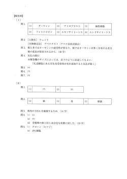 解答PDFダウンロード