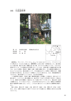 矢島道祖神(PDF:1240KB)