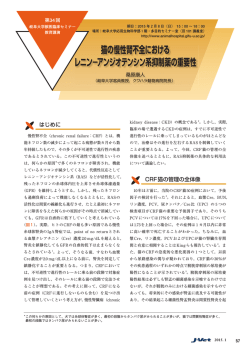 資料の一部をPDFでご覧いただけます。