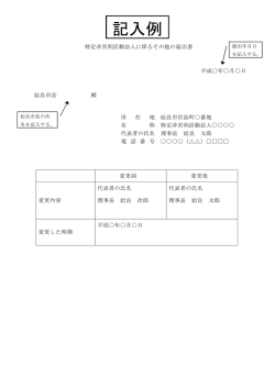 記入例（PDF：67KB）