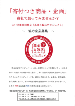 PDF (426KB