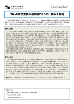 DNA の突然変異が引き起こされる仕組みを解明
