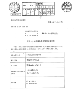 実績報告書 (PDF：935.2KB)