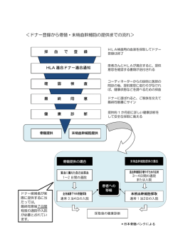 ＜ドナー登録から骨髄・末梢血幹細胞の提供までの流れ＞