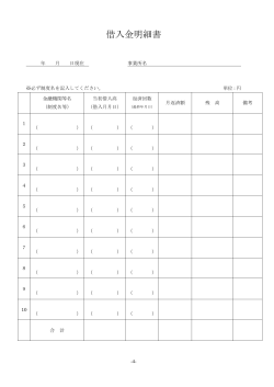 借入金明細書（様式）(PDFファイル:74.8KB)