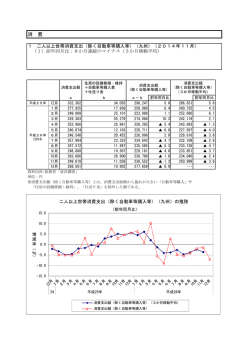 消費 [PDFファイル／504KB]