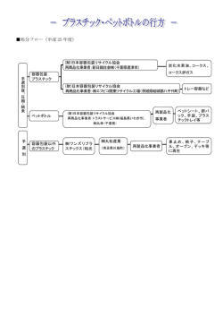 処分フロー（平成 25 年度）