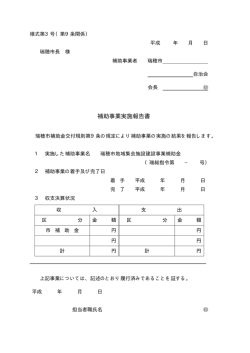 補助事業実施報告書