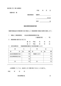 補助事業実施報告書