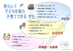 先天性風しん症候群対策の実施 母子保健指導  出産支援事業