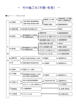 処分フロー（平成 25 年度）