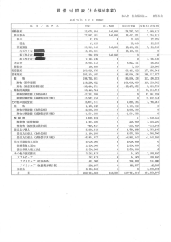 貸 借 対 照 表 (社会福祉事業)