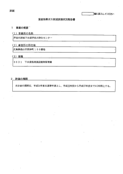 報告書 (PDFファイル)