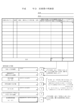 医療費の明細書 （PDF形式 54KB）