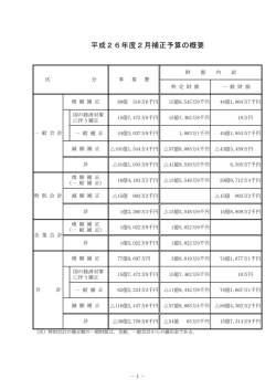 補正予算の概要、会計別総括表等(PDF文書)