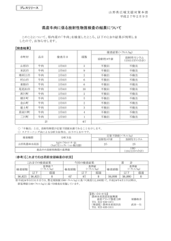プレスリリース資料 (PDF documentファイル サイズ： 71Kb)
