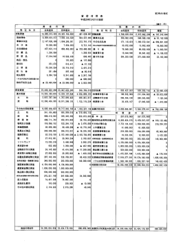 財務諸表（PDF：463KB）