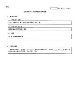 報告書 (PDFファイル)