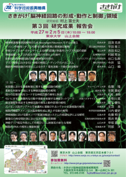 さきがけ「脳神経回路の形成・動作と制御」