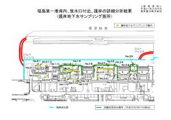 福島第一港湾内、放水口付近、護岸の詳細分析結果 （護岸