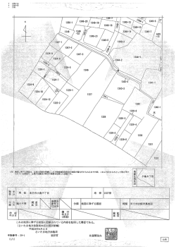 分類 地図に準ずる図面