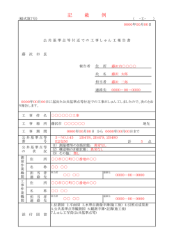 記 載 例