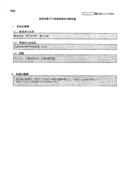 報告書 (PDFファイル)