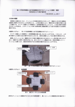 車いす用放熱機能と血行促進機能を有するクツションの開発 概要 ~ 株式