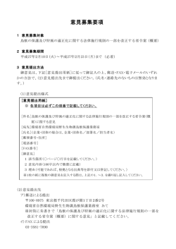 （別紙）意見募集要項 [PDF 124 KB]