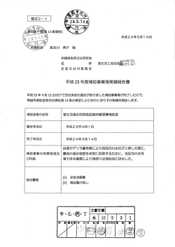 実績報告書 (PDF：117.8KB)