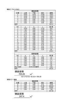 舗装面積 m 舗装面積 m 247.4 705.28