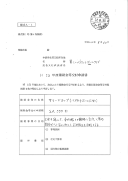 補 助 金 等 の 名 称 すマ ーズ・刀ーソ フ" (バス坊ットホー-・広/静)