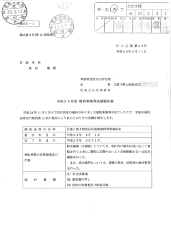 実績報告書 (PDF：95.8KB)