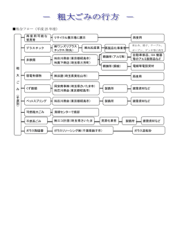 処分フロー（平成 25 年度）
