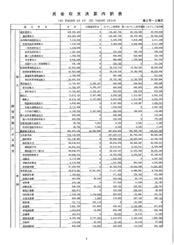 貸借対照表・収支計算書(PDF:703KB)