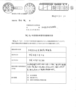 乗輿 又午 年度補助事業等実績報告書