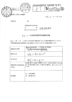 孝離こ 2シ年度補助事業等実績報告書