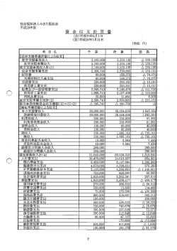 貸借対照表及び収支計算書（PDF：202KB）