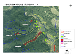 ＜基礎調査区域概要書 清流地区－1＞