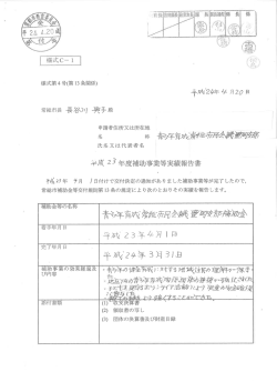 実績報告書 (PDF：268.5KB)
