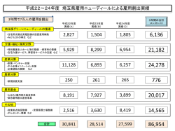 雇用創出実績（平成22～24年度）