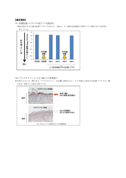 補足資料